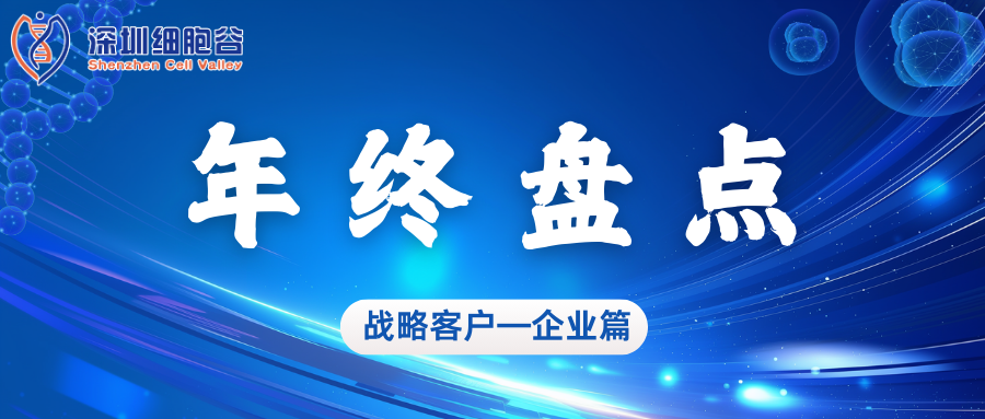深圳乐天堂fun882024年度亮点工作盘点——企业篇